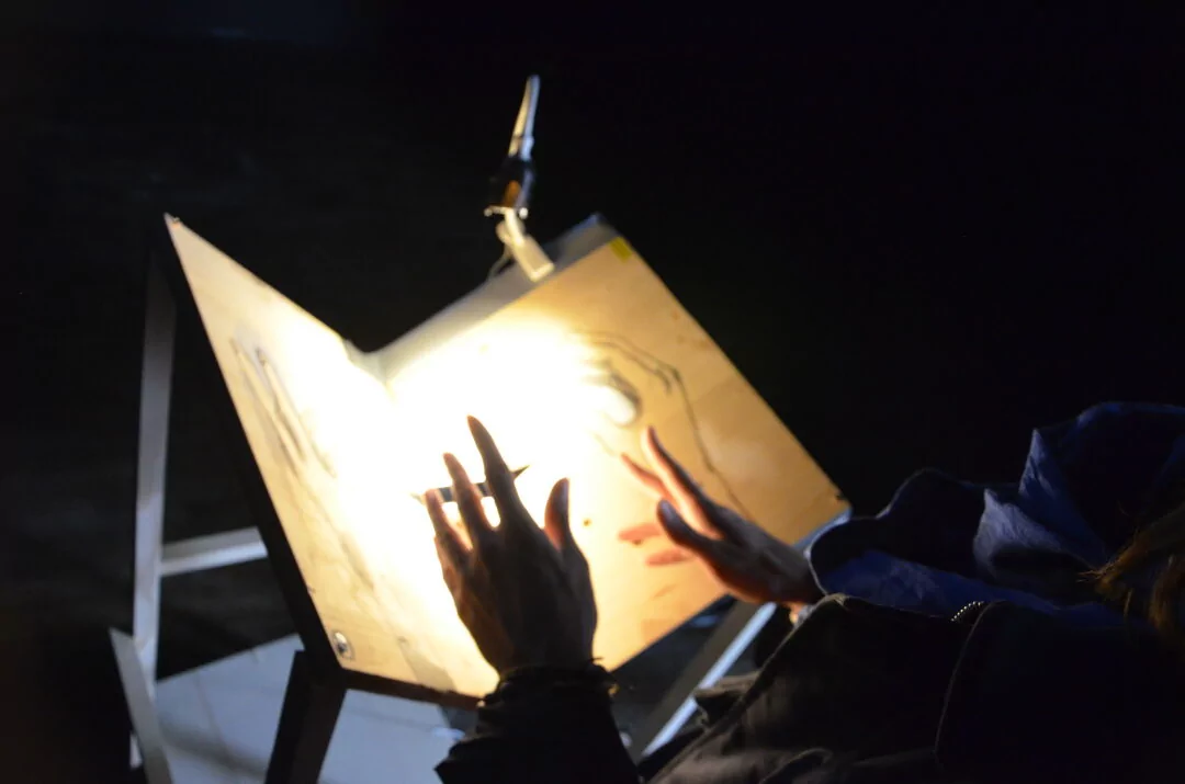 2016 Echo Des Lieux Centre Europeen D Action Pour L Art Contemporain(02)